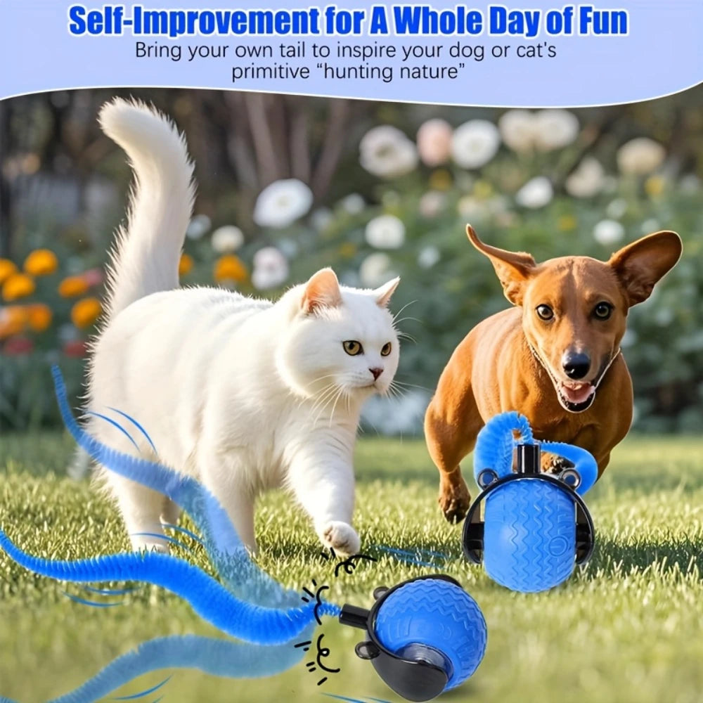 WhirlTail Interactive Ball
